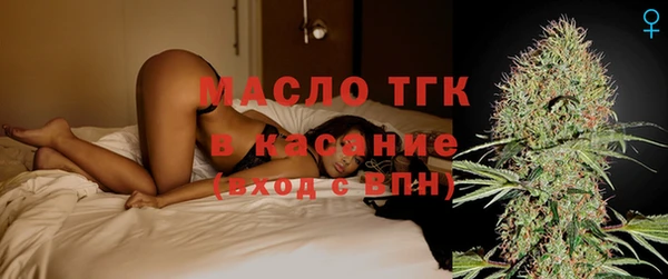 стаф Вязьма
