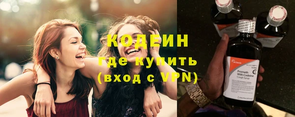 стаф Вязьма