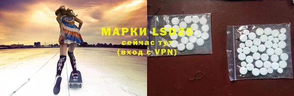 стаф Вязьма