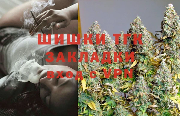 стаф Вязьма
