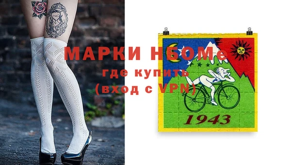 стаф Вязьма