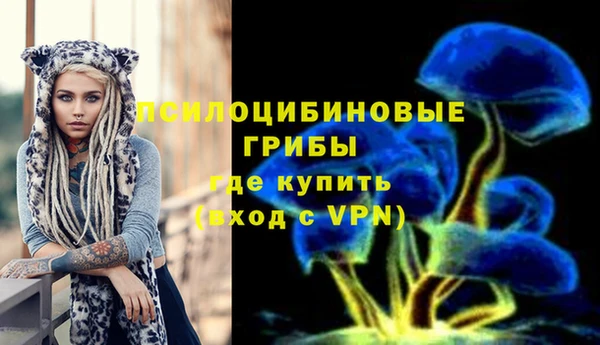 марки nbome Вяземский