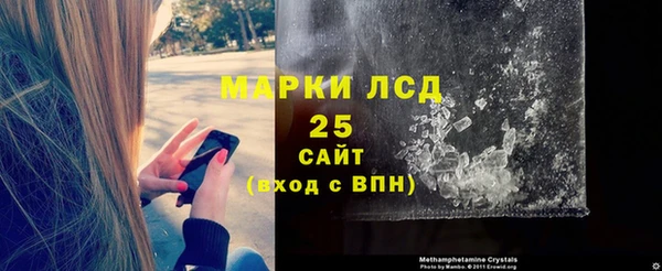 стаф Вязьма