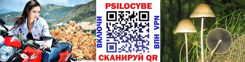 гидра рабочий сайт  Дмитровск  Псилоцибиновые грибы Magic Shrooms 